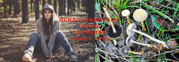 мяу мяу мука Пестово